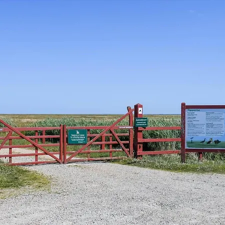 C11602-norre-nebel-tippervej-3 Ferienhaus Nørre Nebel