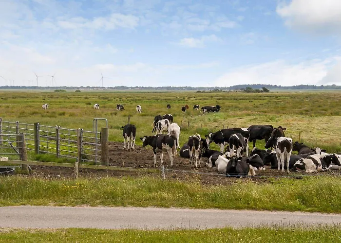 C11602-norre-nebel-tippervej-3 Holiday home