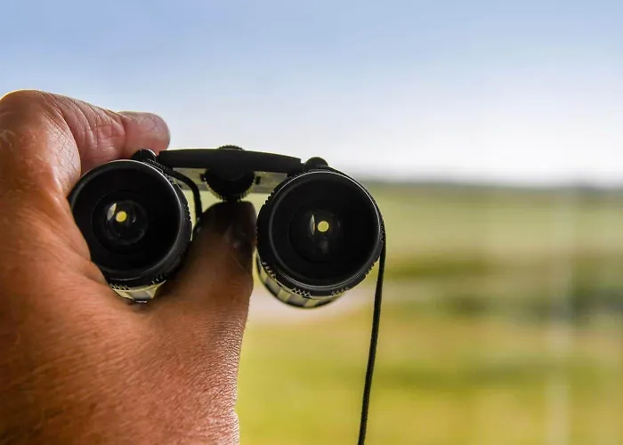 C11602-norre-nebel-tippervej-3 Norre Nebel