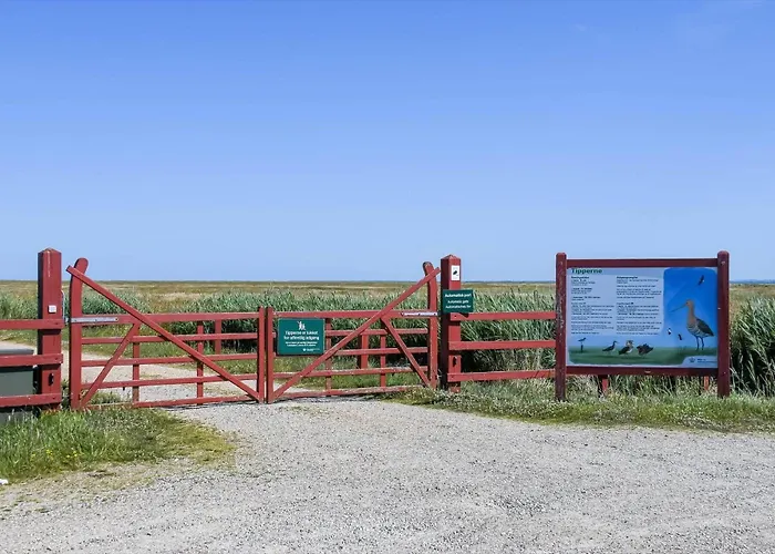 C11602-norre-nebel-tippervej-3 Ferienhaus Nørre Nebel