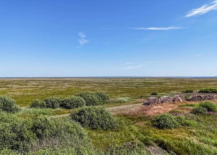 C11602-norre-nebel-tippervej-3 Ferienhaus