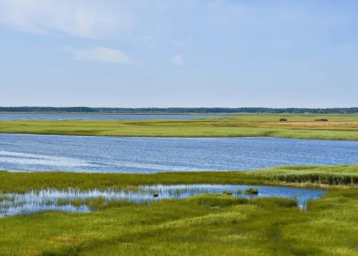 C11602-norre-nebel-tippervej-3